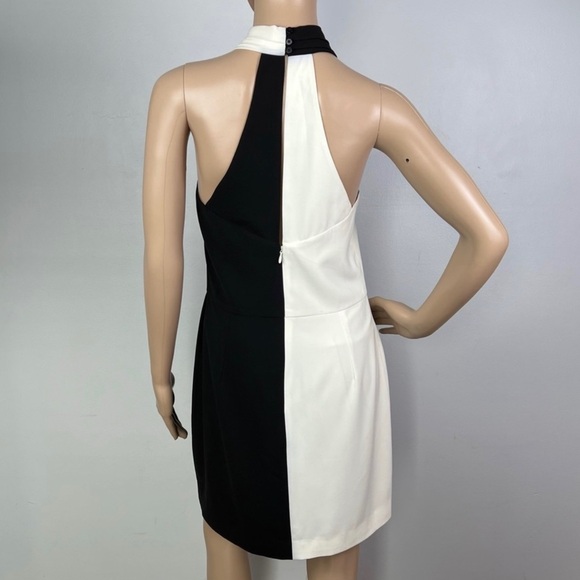 HALSTON HERITAGE COLORBLOCK MINI DRESS - Picture 7 of 11